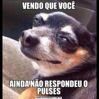 VENDO QUE VOCÊAINDA NÃO RESPONDEU O PULSES