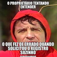 O PROPRIETÁRIO TENTANDO ENTENDERO QUE FEZ DE ERRADO QUANDO SOLICITOU O REGISTRO SOZINHO