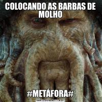 COLOCANDO AS BARBAS DE MOLHO#METÁFORA#