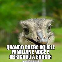 QUANDO CHEGA AQUELE FAMILIAR E VOCE É OBRIGADO A SORRIR