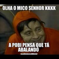 OLHA O MICO SENHOR KKKKA POBI PENSA QUE TÁ ABALANDO 