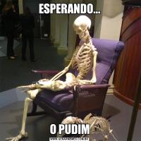 ESPERANDO...O PUDIM