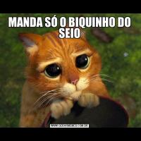 MANDA SÓ O BIQUINHO DO SEIO
