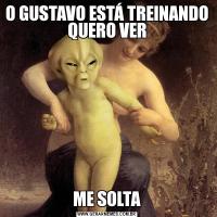 O GUSTAVO ESTÁ TREINANDO QUERO VERME SOLTA