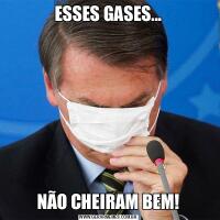 ESSES GASES...NÃO CHEIRAM BEM!