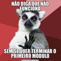 NÃO DIGA QUE NÃO FUNCIONASEM SE QUER TERMINAR O PRIMEIRO MÓDULO