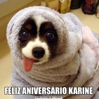 FELIZ ANIVERSÁRIO KARINE