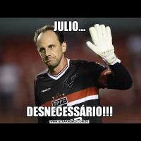 JULIO...DESNECESSÁRIO!!!