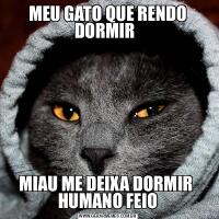 MEU GATO QUE RENDO DORMIR  MIAU ME DEIXA DORMIR  HUMANO FEIO