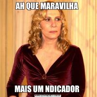AH QUE MARAVILHA MAIS UM NDICADOR 
