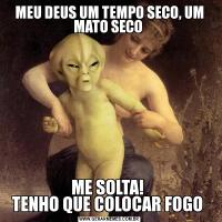 MEU DEUS UM TEMPO SECO, UM MATO SECO ME SOLTA! 
TENHO QUE COLOCAR FOGO 