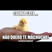 CALMA GATA ...NÃO QUERO TE MACHUCAR!