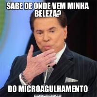 SABE DE ONDE VEM MINHA BELEZA?DO MICROAGULHAMENTO