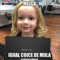 MEIGAIGUAL COICE DE MULA