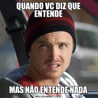 QUANDO VC DIZ QUE ENTENDEMAS NÃO ENTENDE NADA