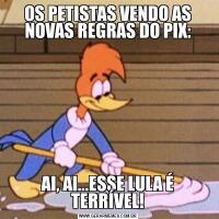 OS PETISTAS VENDO AS NOVAS REGRAS DO PIX:AI, AI...ESSE LULA É TERRÍVEL!