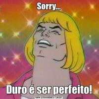 Sorry...Duro é ser perfeito!