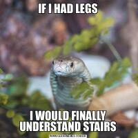 IF I HAD LEGSI WOULD FINALLY UNDERSTAND STAIRS