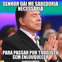 SENHOR DAI ME SABEDORIA NECESSÁRIAPARA PASSAR POR TUDO ISTO SEM ENLOUQUECER