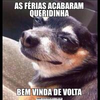 AS FÉRIAS ACABARAM QUERIDINHABEM VINDA DE VOLTA