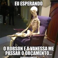 EU ESPERANDOO ROBSON E A VANESSA ME PASSAR O ORÇAMENTO...