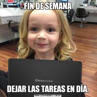 FIN DE SEMANADEJAR LAS TAREAS EN DÍA.