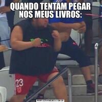 QUANDO TENTAM PEGAR NOS MEUS LIVROS: