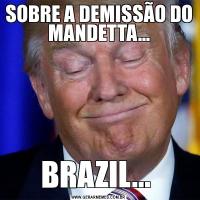 SOBRE A DEMISSÃO DO MANDETTA...BRAZIL... 