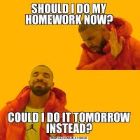 SHOULD I DO MY HOMEWORK NOW?COULD I DO IT TOMORROW INSTEAD?