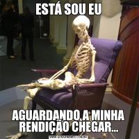 ESTÁ SOU EUAGUARDANDO A MINHA RENDIÇÃO CHEGAR...