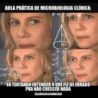 AULA PRÁTICA DE MICROBIOLOGIA CLÍNICA:EU TENTANDO ENTENDER O QUE FIZ DE ERRADO PRA NÃO CRESCER NADA