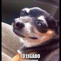 TO LIGADO