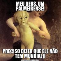 MEU DEUS, UM PALMEIRENSE!PRECISO DIZER QUE ELE NÃO TEM MUNDIAL!!
