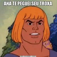 AHA TE PEGUEI SEU TROXA