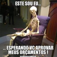 ESTE SOU EU...... ESPERANDO VC APROVAR MEUS ORÇAMENTOS !