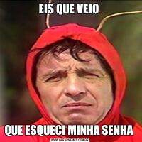 EIS QUE VEJO QUE ESQUECI MINHA SENHA 