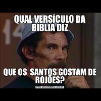 QUAL VERSÍCULO DA BÍBLIA DIZQUE OS  SANTOS GOSTAM DE ROJÕES?