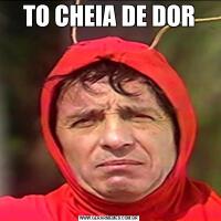 TO CHEIA DE DOR