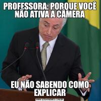 PROFESSORA: PORQUE VOCÊ NÃO ATIVA A CÂMERAEU NÃO SABENDO COMO EXPLICAR