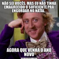 NÃO SEI VOCÊS, MAS EU NÃO TINHA EMAGRECIDO O SUFICIENTE PRA ENGORDAR NO NATAL. 
AGORA QUE VENHA O ANO NOVO