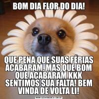 BOM DIA FLOR DO DIA!QUE PENA QUE SUAS FÉRIAS ACABARAM, MAS QUE BOM QUE ACABARAM KKK SENTIMOS SUA FALTA! BEM VINDA DE VOLTA LI!