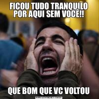FICOU TUDO TRANQUILO POR AQUI SEM VOCÊ!!QUE BOM QUE VC VOLTOU