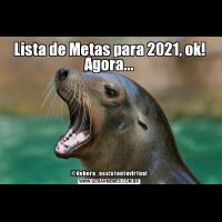 Lista de Metas para 2021, ok! Agora...@debora_assistentevirtual