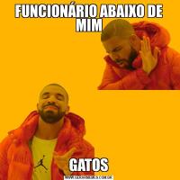 FUNCIONÁRIO ABAIXO DE MIMGATOS