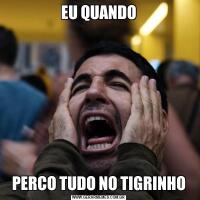 EU QUANDOPERCO TUDO NO TIGRINHO