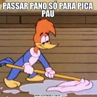 PASSAR PANO SÓ PARA PICA PAU