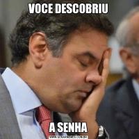 VOCE DESCOBRIUA SENHA