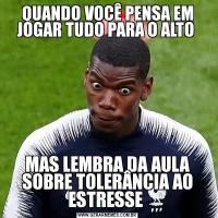 QUANDO VOCÊ PENSA EM JOGAR TUDO PARA O ALTO MAS LEMBRA DA AULA SOBRE TOLERÂNCIA AO ESTRESSE 