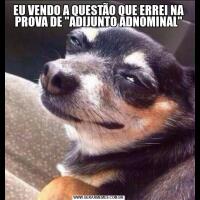 EU VENDO A QUESTÃO QUE ERREI NA PROVA DE "ADIJUNTO ADNOMINAL"