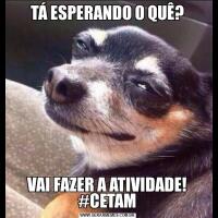 TÁ ESPERANDO O QUÊ?VAI FAZER A ATIVIDADE! #CETAM